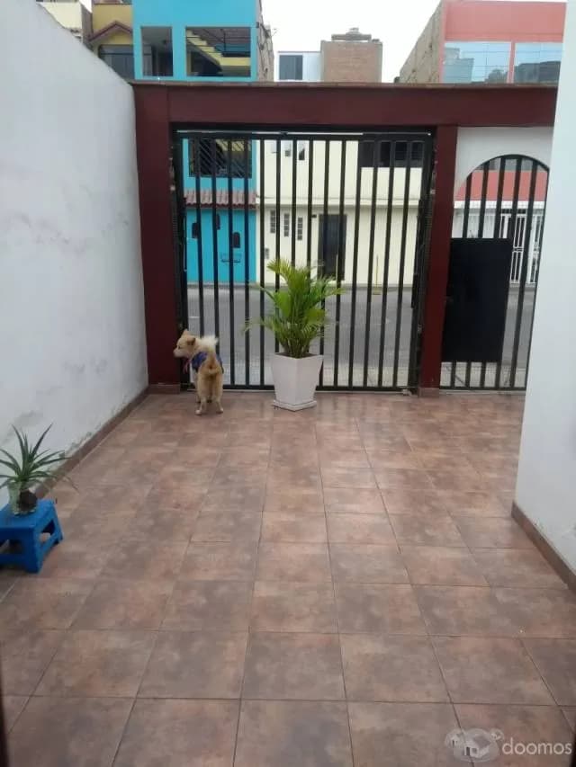 ALQUILO DPTO. 1ER PISO - SURCO — foto 1