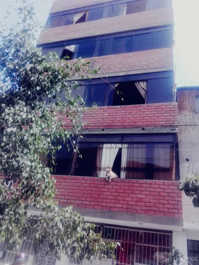 SE REMATA EDIFICIO 6 PISOS - OCASIÓN POR VIAJE  - $200000 — foto 4