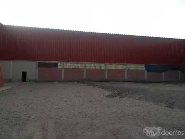 ALQUILER DE LOCAL INDUSTRIAL  PUENTE PIEDRA — foto 2