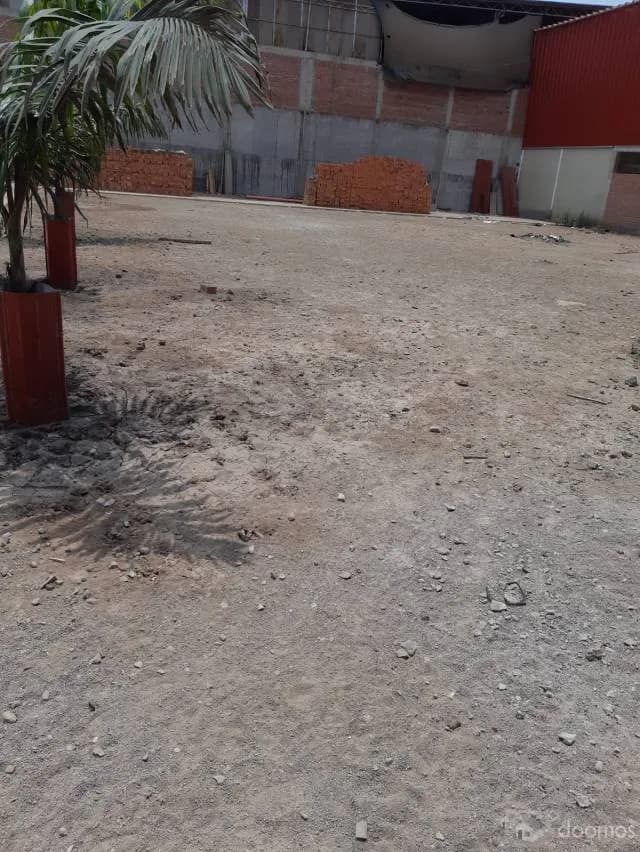 ALQUILER DE LOCAL INDUSTRIAL  PUENTE PIEDRA — foto 5