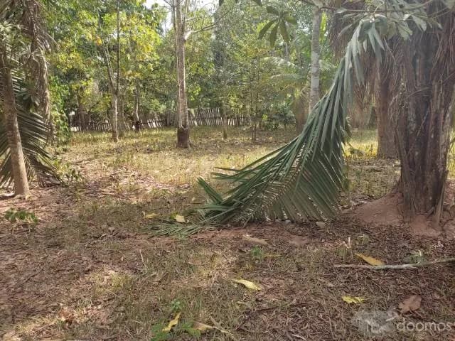 TERRENO EN VENTA EN TUSHMO - PUCALLPA — foto 1