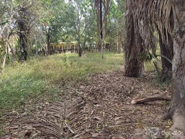 TERRENO EN VENTA EN TUSHMO - PUCALLPA — foto 3
