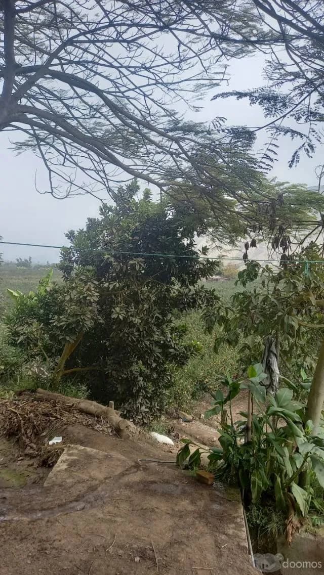 TERRENO CALANGO — foto 2