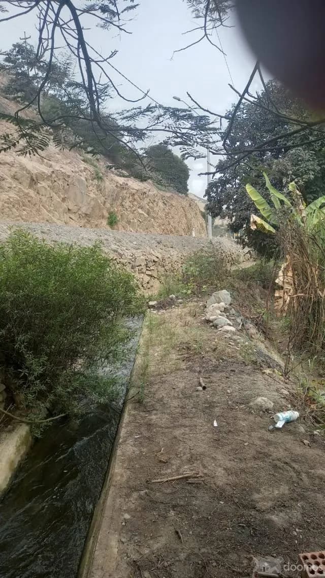 TERRENO CALANGO — foto 4
