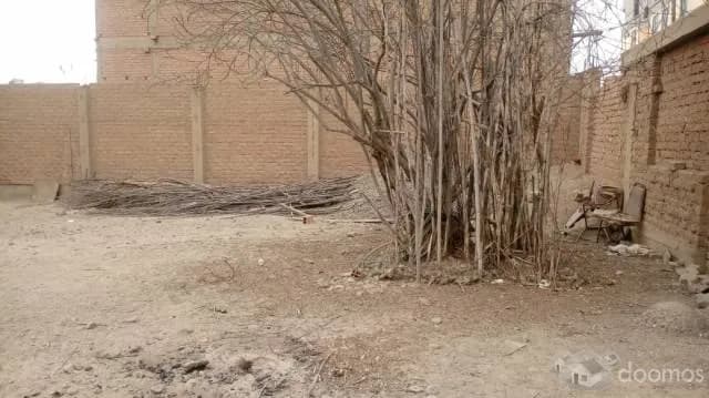 VENTA DE TERRENO 288M2 2 LOTES JUNTOS DE 144M2 CADA LOTE — foto 5