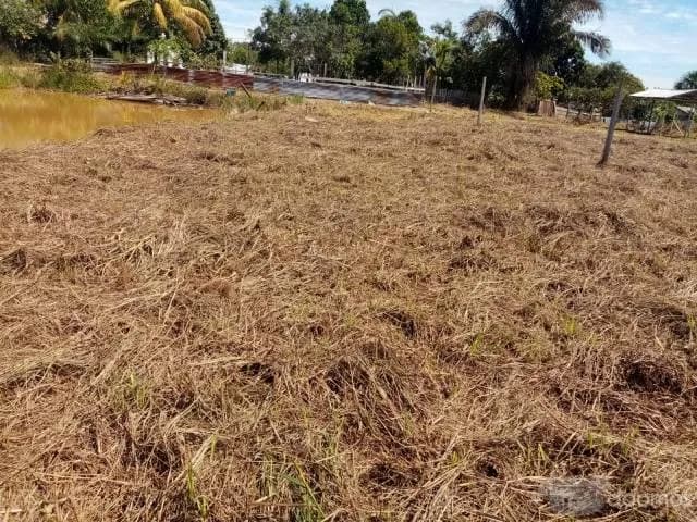 TERRENO EN PUCALLPA — foto 2