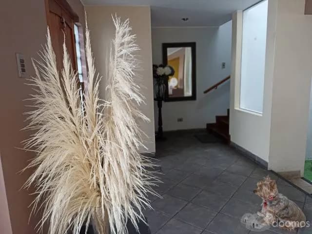 HERMOSA CASA CON VISTA A PARQUE — foto 2