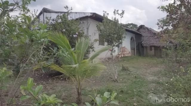 Venta de  propiedad de 8 Has Título , panales de abejas  $ 200,000 — foto 1
