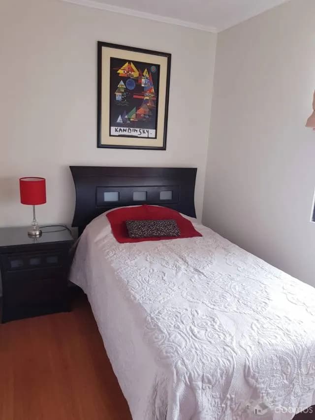 CLIENTE ALQUILA DPTO AMOBLADO 85M2 EN AV. 28 DE JULIO MIRAFLORES — foto 5