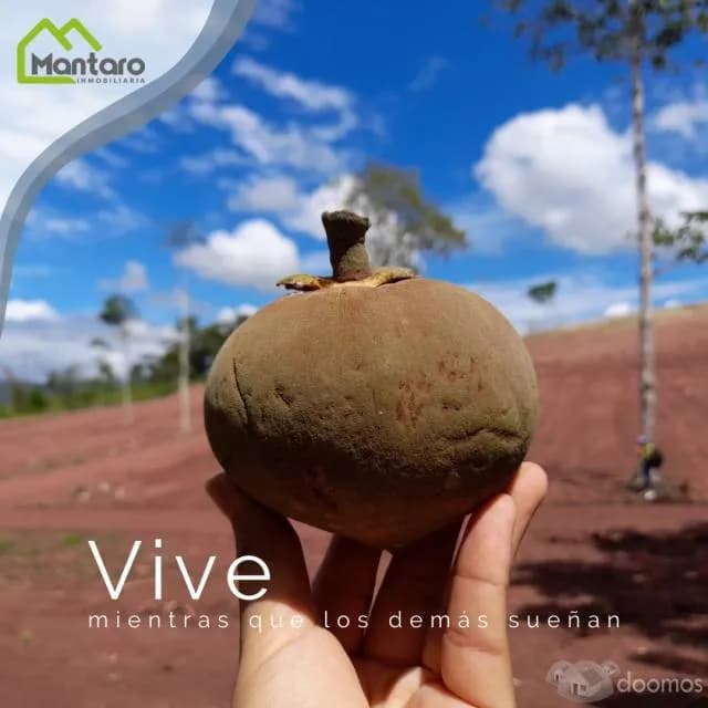 Lotes en Tarapoto - Villa Paraiso -Mantaro Inmobiliaria — foto 5