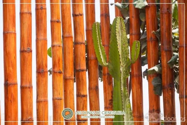 TU CASA de campo SOÑADA — foto 9