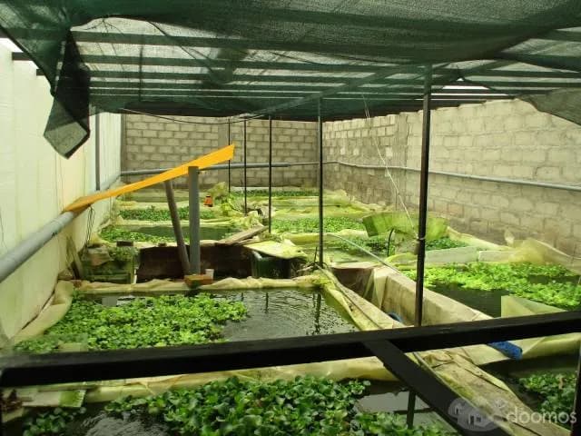 TERRENO EN VENTA EN 4 DE OCTUBRE — foto 1
