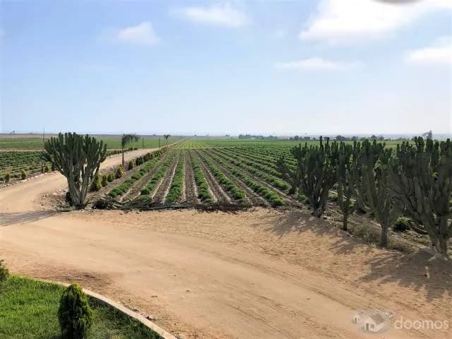 VENDO TERRENO. AREA - 30 HECTAREAS * CAÑETE - LIMA — foto 4