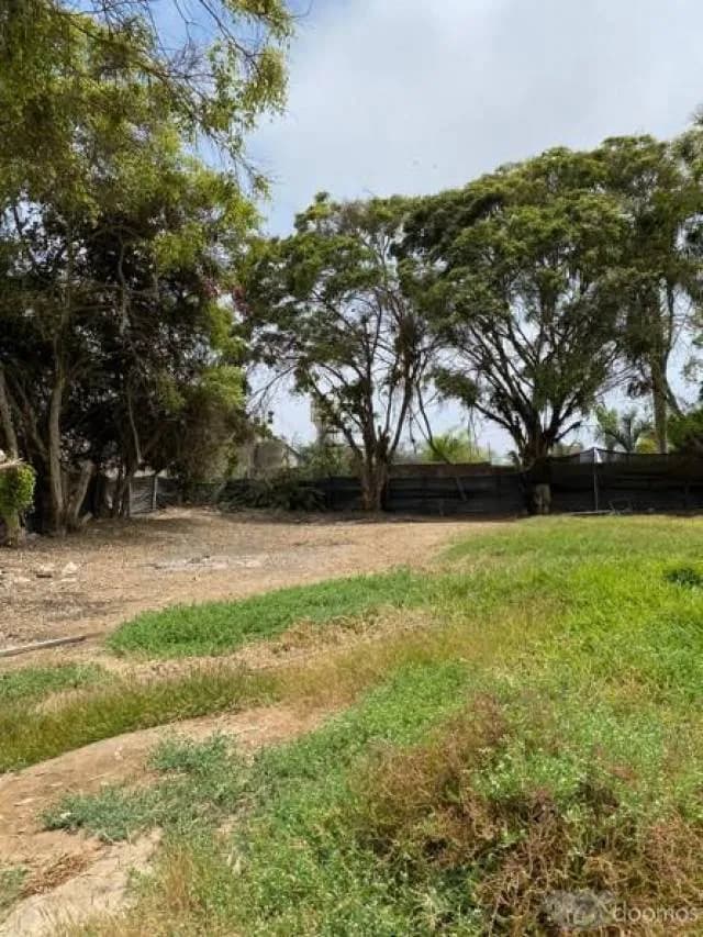 Terreno 20,510 m², Lurín — foto 4