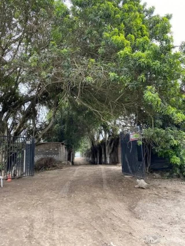 Terreno 20,510 m², Lurín — foto 5