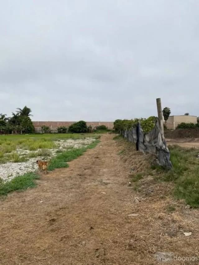 Terreno 20,510 m², Lurín — foto 8