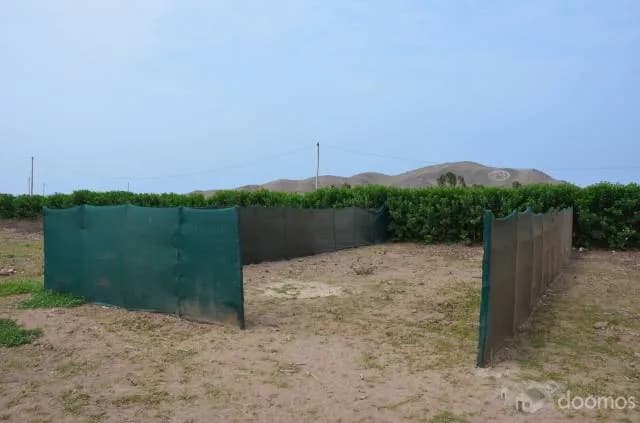 VENDO TERRENO EN CERRO AZUL — foto 1