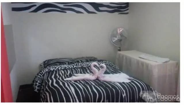 TRASPASO HERMOSO HOSTAL — foto 1