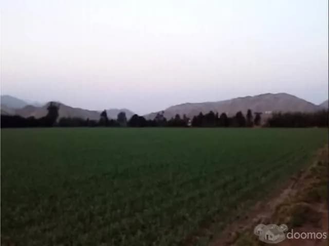 VENDO TERRENO EN CERRO AZUL — foto 2