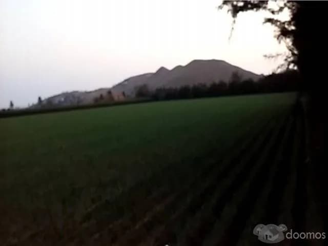 VENDO TERRENO EN CERRO AZUL — foto 3