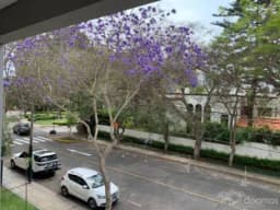 Lindo Duplex en San Isidro