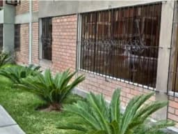 ALQUILO DEPARTAMENTO EN SURCO
