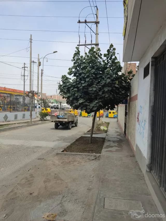 ALQUILER LOCAL COMERCIAL — foto 1