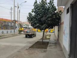 ALQUILER LOCAL COMERCIAL