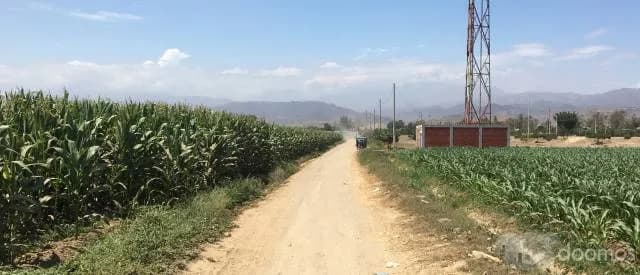 FRUCTÍFERA PARCELA 4 HAS. EN CAÑETE! — foto 1