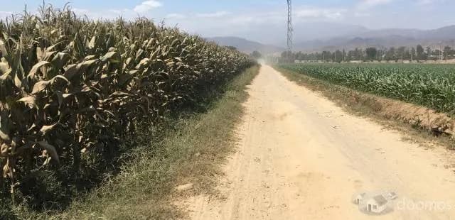 FRUCTÍFERA PARCELA 4 HAS. EN CAÑETE! — foto 2