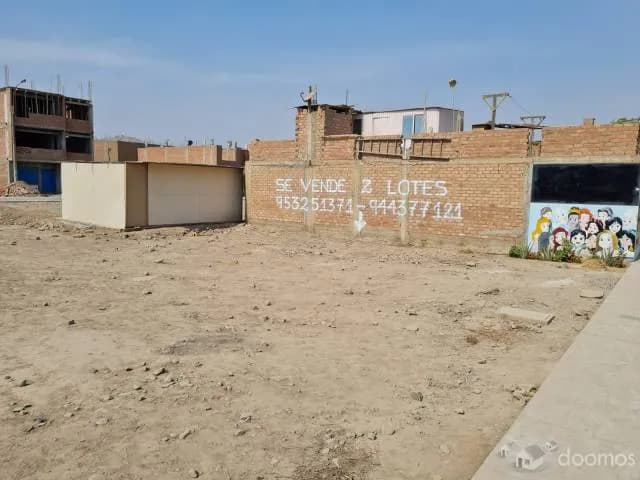 SE VENDEN 2 LOTES JUNTOS EN CARABAYLLO — foto 4