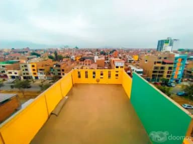 Miniatura 10
