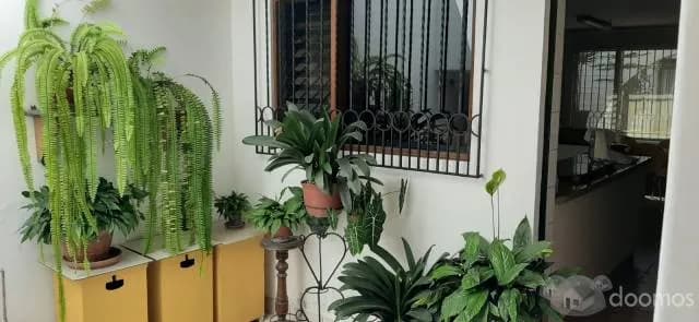 Hermosa casa en San Borja — foto 6