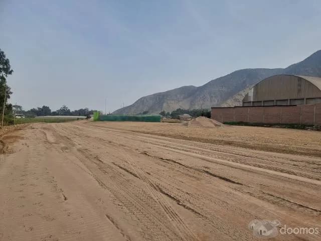 LOTE INDUSTRIAL EN MANCHAY — foto 3