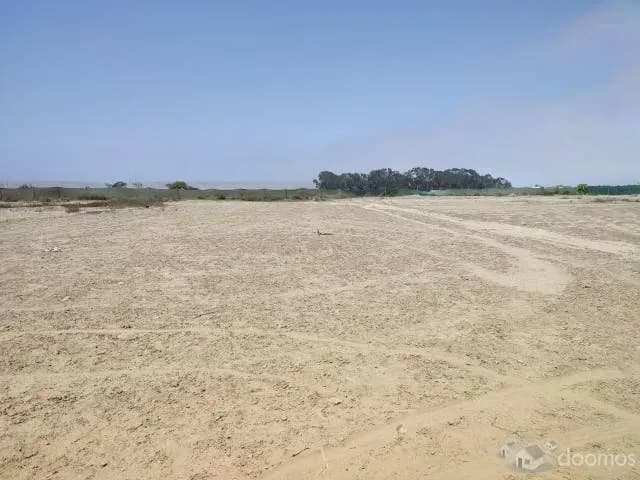 TERRENO ASIA - CAÑETE — foto 2