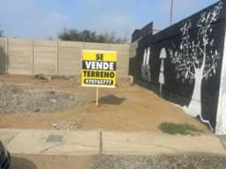 VENTA DE TERRENO DE 91 M2 EN LA ALAMEDA LIMA SUR - CHILCA
