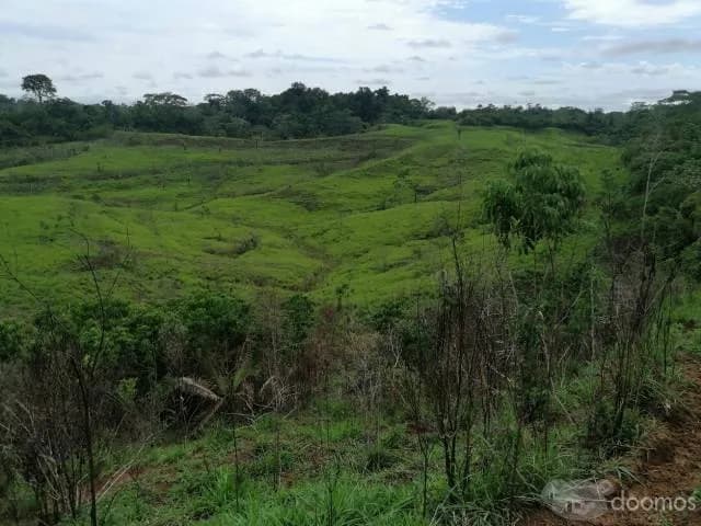 TERRENO 30 -  90  - 200 HECTAREAS - UCAYALI — foto 3