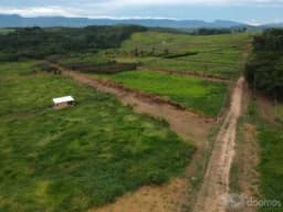 TERRENO EN VENTA TARAPOTO A 15 MINUTOS DE AEROPUERTO