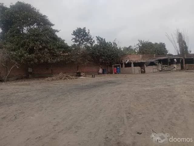 OCASIÓN TERRENO SUPE BARRANCA — foto 5