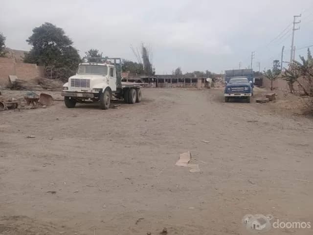 OCASIÓN TERRENO SUPE BARRANCA — foto 6