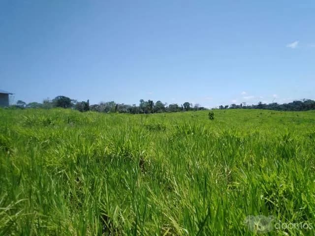 VENTA DE TERRENO AGRICOLA - CAMPO VERDE - PUCALLPA — foto 1