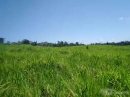 VENTA DE TERRENO AGRICOLA - CAMPO VERDE - PUCALLPA