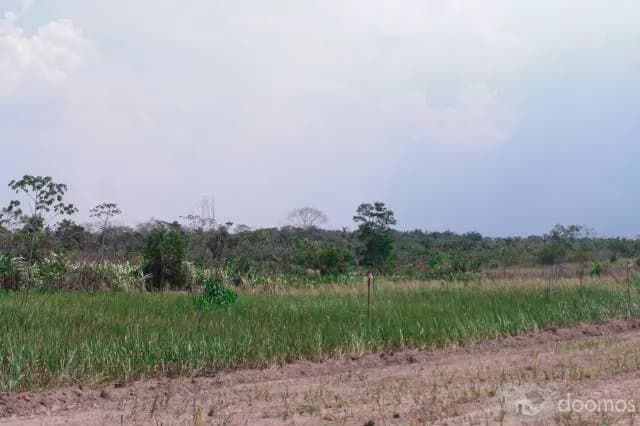 Venta de Lotes con Título. Yarinacoha — foto 3