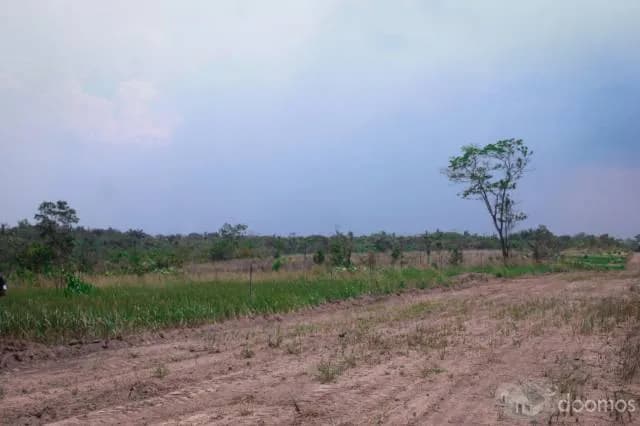 Venta de Lotes con Título. Yarinacoha — foto 6