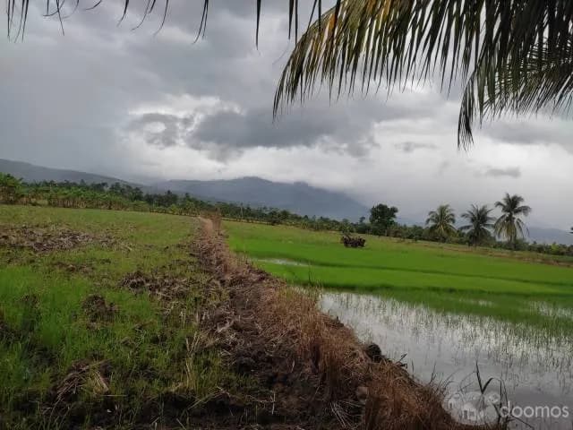 Se Vende Terreno Eco - Turístico 2.5 Ha — foto 5