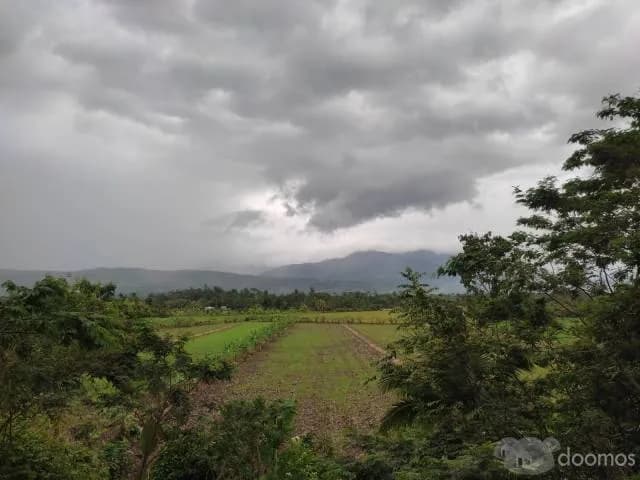 Se Vende Terreno Eco - Turístico 2.5 Ha — foto 6