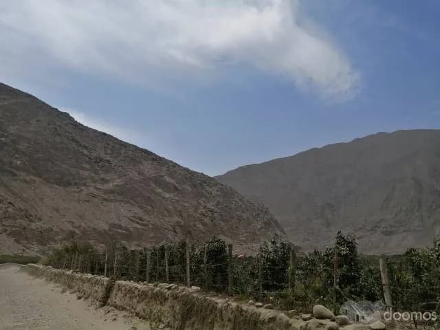 TERRENO 2,500 m² - CALANGO — foto 1