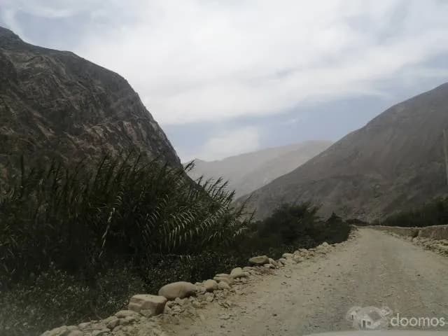 TERRENO 2,500 m² - CALANGO — foto 3