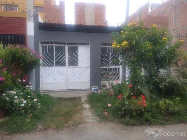 Se alquila 1er piso. Local comercial. Cedros de Villa. Chorrillos — foto 2