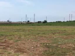 Vendo Terreno de 2.5 Hectareas en Chincha